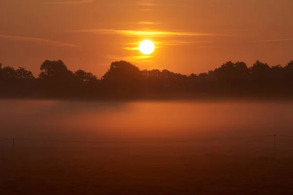 Sonnenaufgang Über Einem Nebligen Grasfeld — Stockfoto