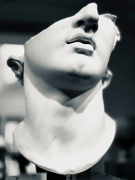 Fragmentary Colossal Head Youth Met Museum Nyc — Stock Photo, Image