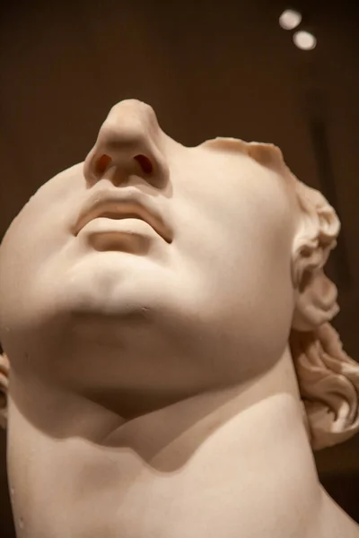 ニューヨークのメトロポリタン美術館の青少年の断片的な巨大頭部 — ストック写真