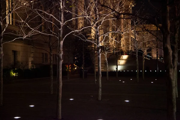 Μπροστινή Είσοδος Του Μουσείου Met Προβάλλεται Μέσα Από Δέντρα Νύχτα — Φωτογραφία Αρχείου