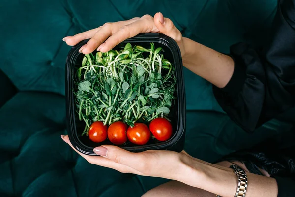 Brotes Jóvenes Verduras Tomates Una Caja Plástico Manos Femeninas —  Fotos de Stock