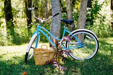 Grassy Alanında Açık Mavi Vintage Bisiklet ve Piknik Sepeti