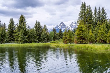 Koruma parkının yürüyüş izinden destansı dağ manzarası