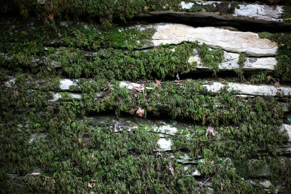Kamień Pokryty Mchem Skała Relikwiowym Lesie Tło Kamienia Naturalnego Skalista — Zdjęcie stockowe