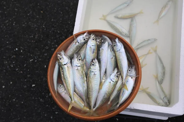 Pescado Capturado Tazón Agua — Foto de Stock