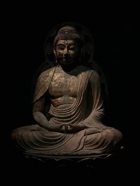 Amida Buddha Nekonečného Světla Amitabha Met Museum Nyc — Stock fotografie