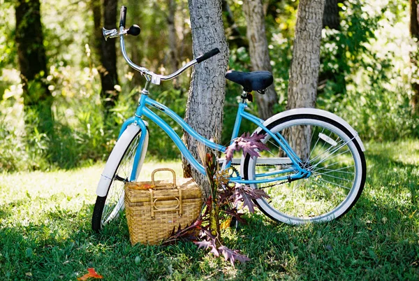 Jasnoniebieski Vintage Rower Trawiastym Obszarze Koszykiem Piknikowym — Zdjęcie stockowe
