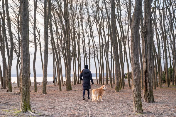 Parkta Köpeğini Gezdiren Bir Kadın — Stok fotoğraf