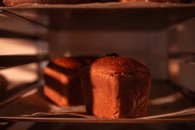 Sıcak fırında ekmek