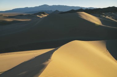 Kum tepeciğinde ışık ve doku