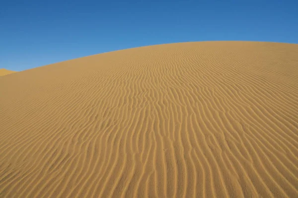 風に吹かれた砂丘のテクスチャ — ストック写真