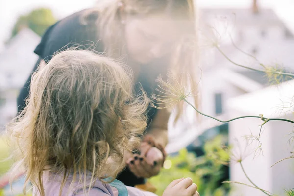 若いです女の子とともにお母さんで庭に集めディルシード — ストック写真