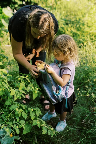 정원에서 씨앗을 모으는 엄마와 — 스톡 사진
