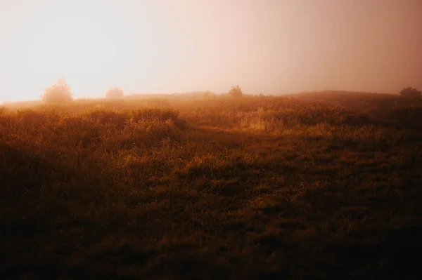 Golden Hour Sunset Mountain Field — Stock Photo, Image