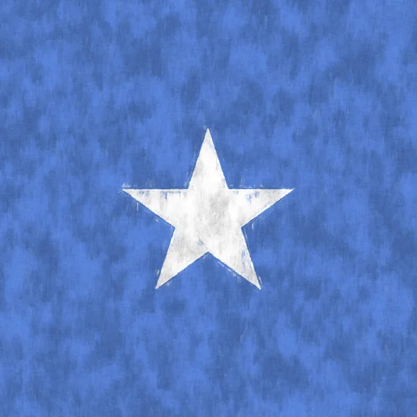 Somalia Ölgemälde Somalisches Emblem Zeichnet Leinwand — Stockfoto