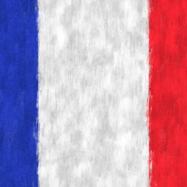 Frankreich Ölgemälde Französisches Emblem Zeichnet Leinwand — Stockfoto