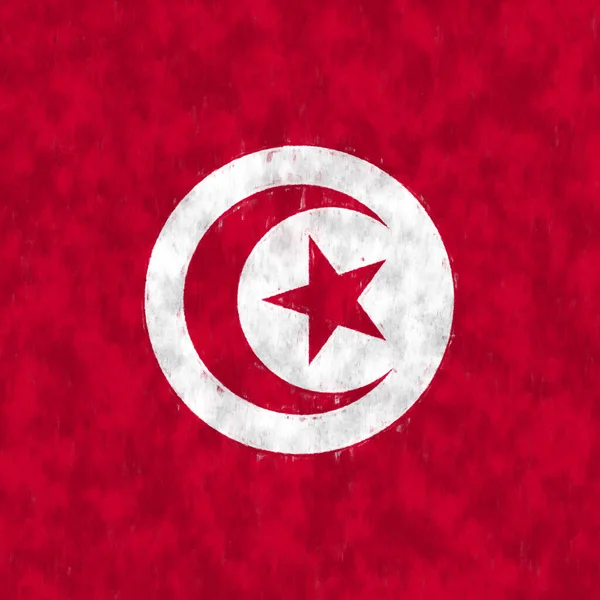 Tunesië Olieverf Tunesisch Embleem Tekening Doek — Stockfoto