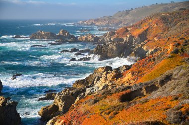 Big Sur California 'daki Garrapata State Park Vista Point