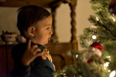 Genç Latin çocuk Noel ağacındaki süsleri izliyor.