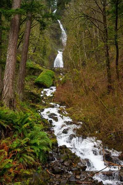 Cascade Dans Les Gorges Fleuve Columbia — Photo