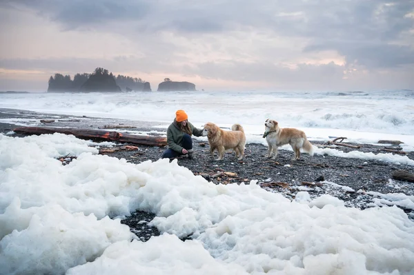 Weibchen Spielen Mit Hunden Der Olympischen Küste — Stockfoto