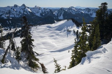 Rainier Dağı Ulusal Parkı Kış boyunca karla kaplandı