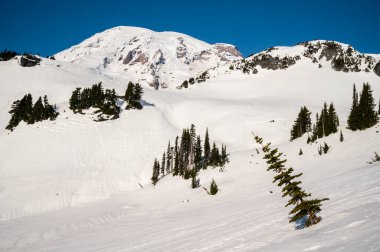 Rainier Dağı Ulusal Parkı Kış boyunca karla kaplandı