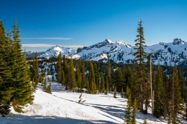Rainier Dağı Ulusal Parkı Kış boyunca karla kaplandı