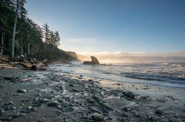 Olimpiyat Ulusal Parkı 'nın engebeli kıyı şeridi