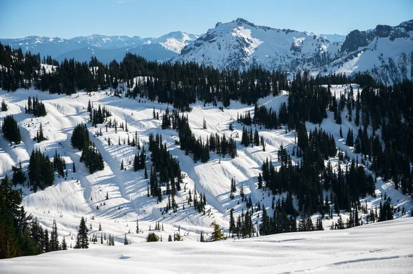 Parque Nacional Monte Rainier Cubierto Nieve Durante Invierno —  Fotos de Stock