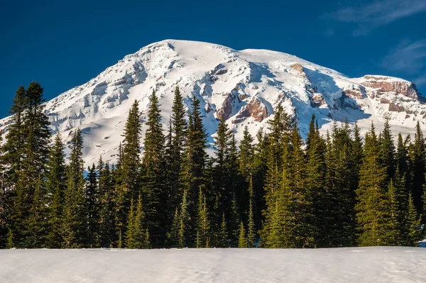 Mount Rainier National Park Täckt Snö Vintern — Stockfoto