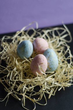 Veri Peri 'nin arka planında yumurtaları olan yuva.