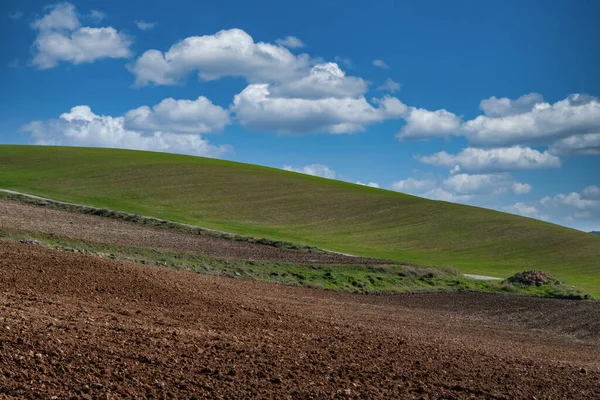 Grüne Anbauflächen Und Wolkenloser Blauer Himmel Felder Bestellten Landes — Stockfoto