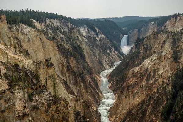 Upper Yellowstone Falls Dans Grand Canyon Yellowstone — Photo