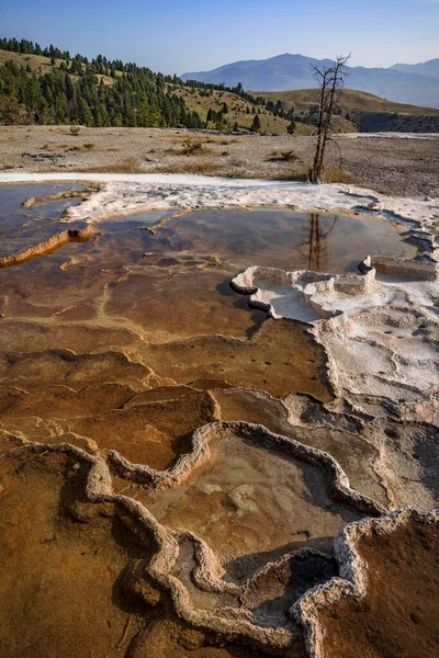 Formaciones Mammoth Hot Springs Parque Nacional Yellowstone —  Fotos de Stock