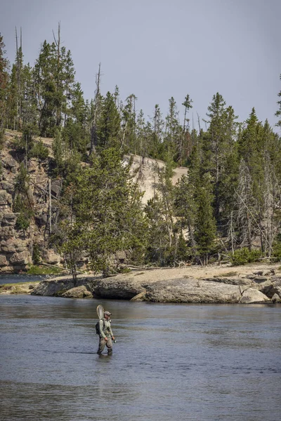 Bir Balıkçı Wyoming Deki Yellowstone Nehri Nde Yürüyor — Stok fotoğraf