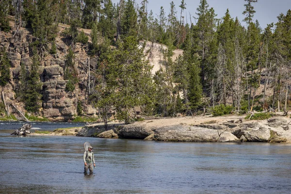 Bir Balıkçı Wyoming Deki Yellowstone Nehri Nde Yürüyor — Stok fotoğraf