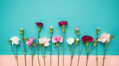 Yatay renk bloğu minicik karanfil çiçekleriyle yatıyordu