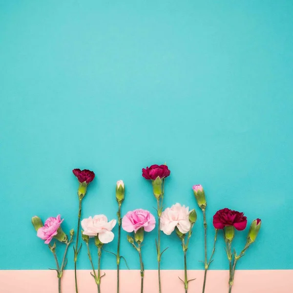 Mini Flores Cravo Quadrado Flatlay Colorblock — Fotografia de Stock