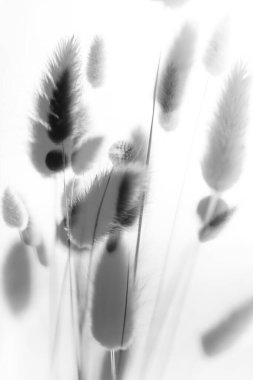 Çiçek ve bitkilerin soyut arkaplanı, çifte sergi