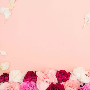 Beyaz yapraklar ve pembe allık üzerinde çeşitli karanfiller.