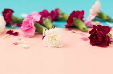 Çiçek yaprakları ve çiçekleri olan yatay bir daire.