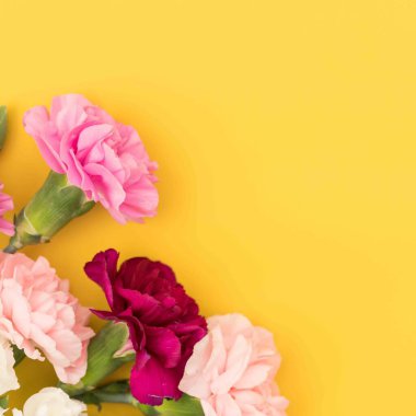 Çiçekli, karanfilli ve parlak sarı arka planlı bir daire.