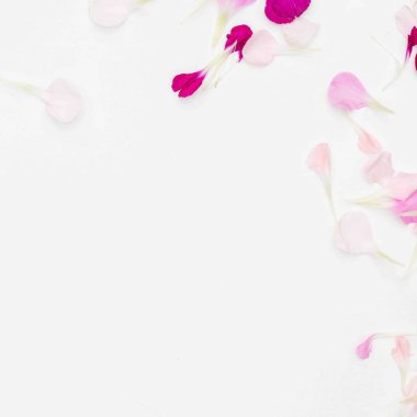 Çiçek yapraklı beyaz alan