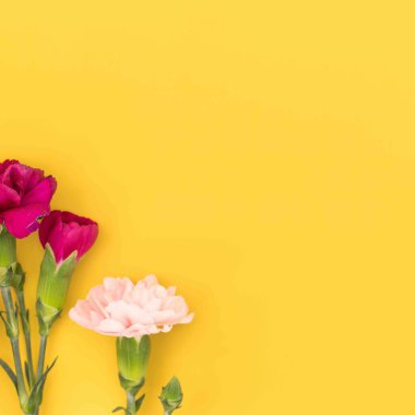 Açık sarı düz üzerinde kestane rengi ve pembe mini karanfiller