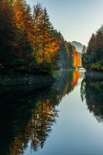 Friedlicher Fluss Schlängelt Sich Herbst Durch Einen Buchenwald — Stockfoto