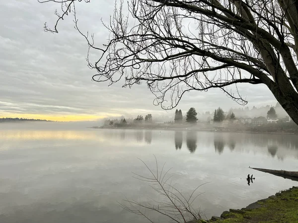 Niebla Largo Del Paseo Marítimo Seward Park Seattle — Foto de Stock