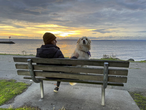 Female and their dog sitting on a park bench at Golden Gardens Park