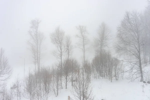 루지야 리아니 리조트에 안개낀 눈덮인 코카서스 — 스톡 사진