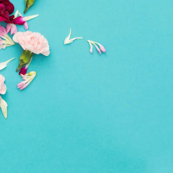 Blume Flach Mit Nelken Und Blütenblättern — Stockfoto